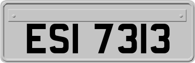 ESI7313