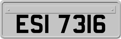 ESI7316