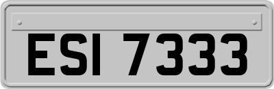 ESI7333