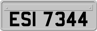 ESI7344