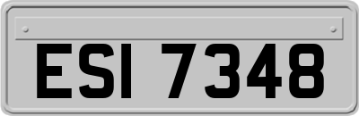 ESI7348
