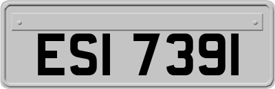 ESI7391