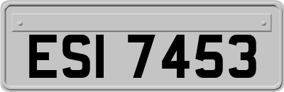 ESI7453