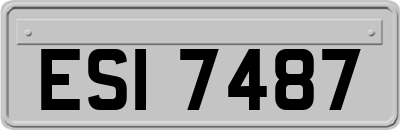 ESI7487