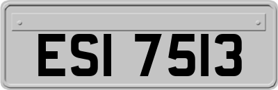 ESI7513