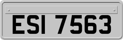 ESI7563