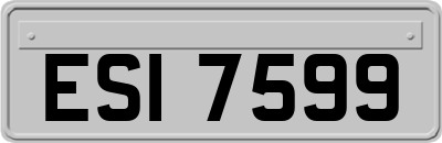 ESI7599