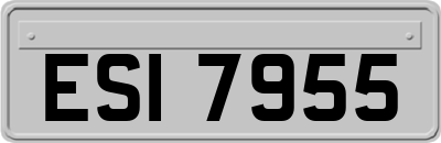 ESI7955