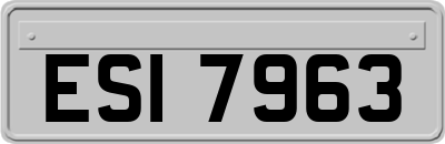 ESI7963