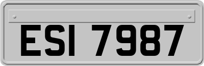 ESI7987