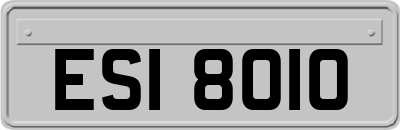 ESI8010