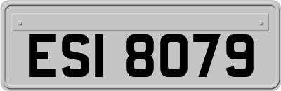 ESI8079