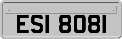 ESI8081