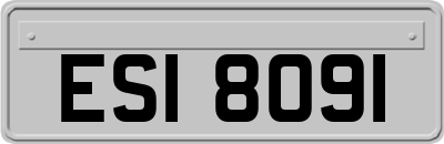 ESI8091