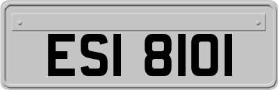 ESI8101