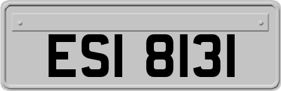 ESI8131