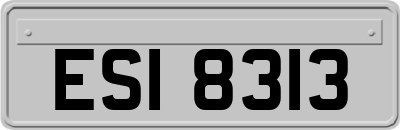 ESI8313