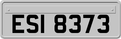 ESI8373