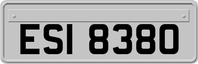 ESI8380