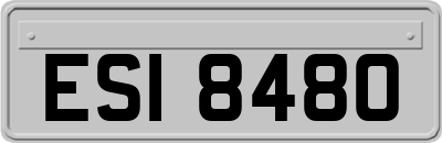 ESI8480