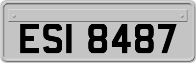 ESI8487