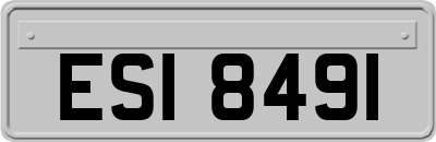 ESI8491