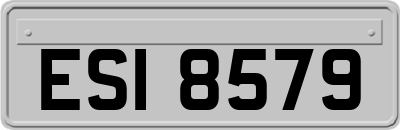 ESI8579