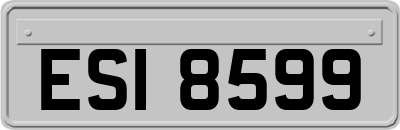 ESI8599