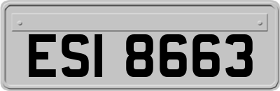ESI8663