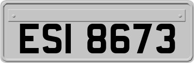 ESI8673