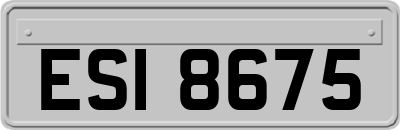 ESI8675