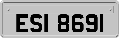 ESI8691