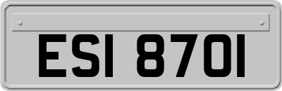ESI8701