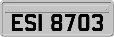 ESI8703