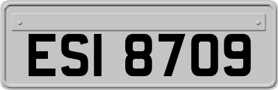 ESI8709
