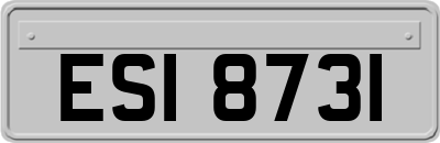 ESI8731