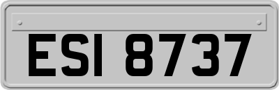 ESI8737