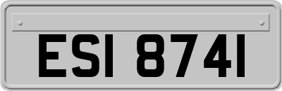 ESI8741