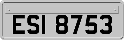 ESI8753