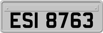 ESI8763