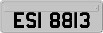 ESI8813