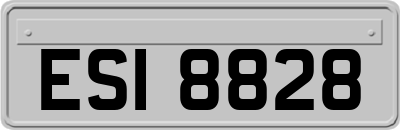 ESI8828