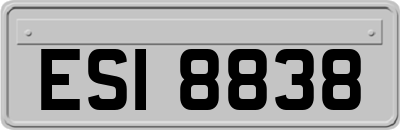 ESI8838