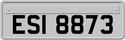 ESI8873