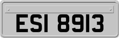 ESI8913