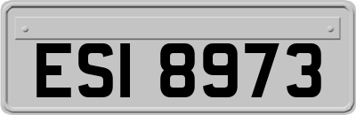 ESI8973