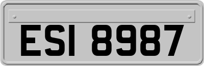 ESI8987