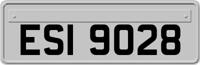 ESI9028