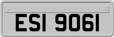 ESI9061