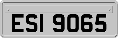 ESI9065